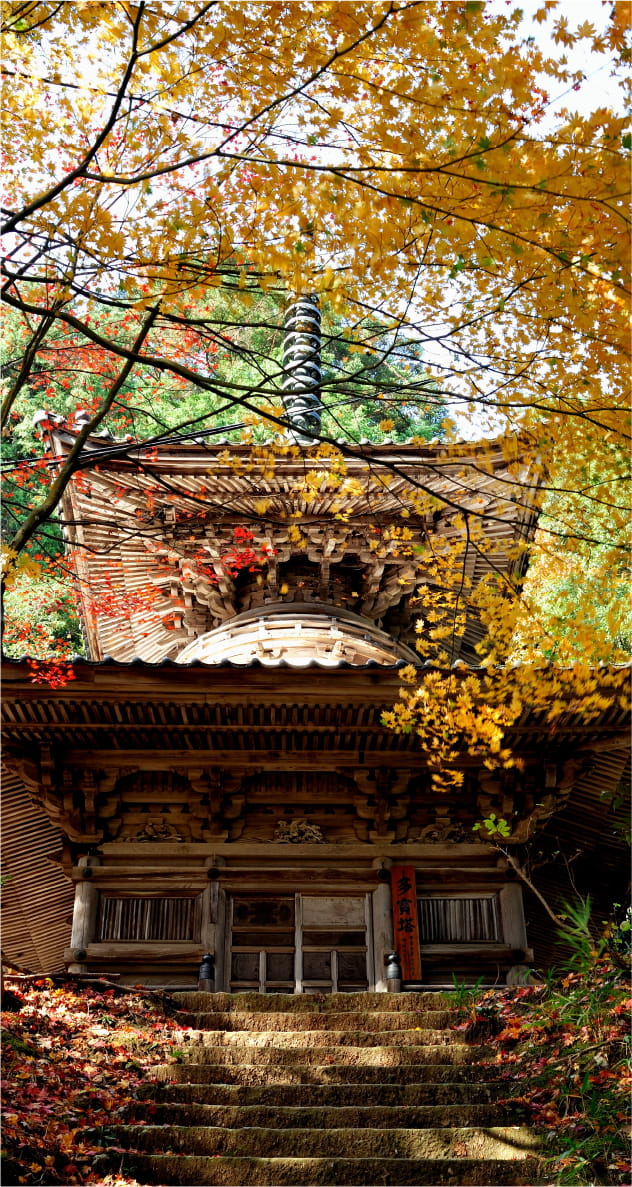 城崎の四季秋画像