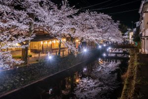 イベント情報 城崎温泉観光協会